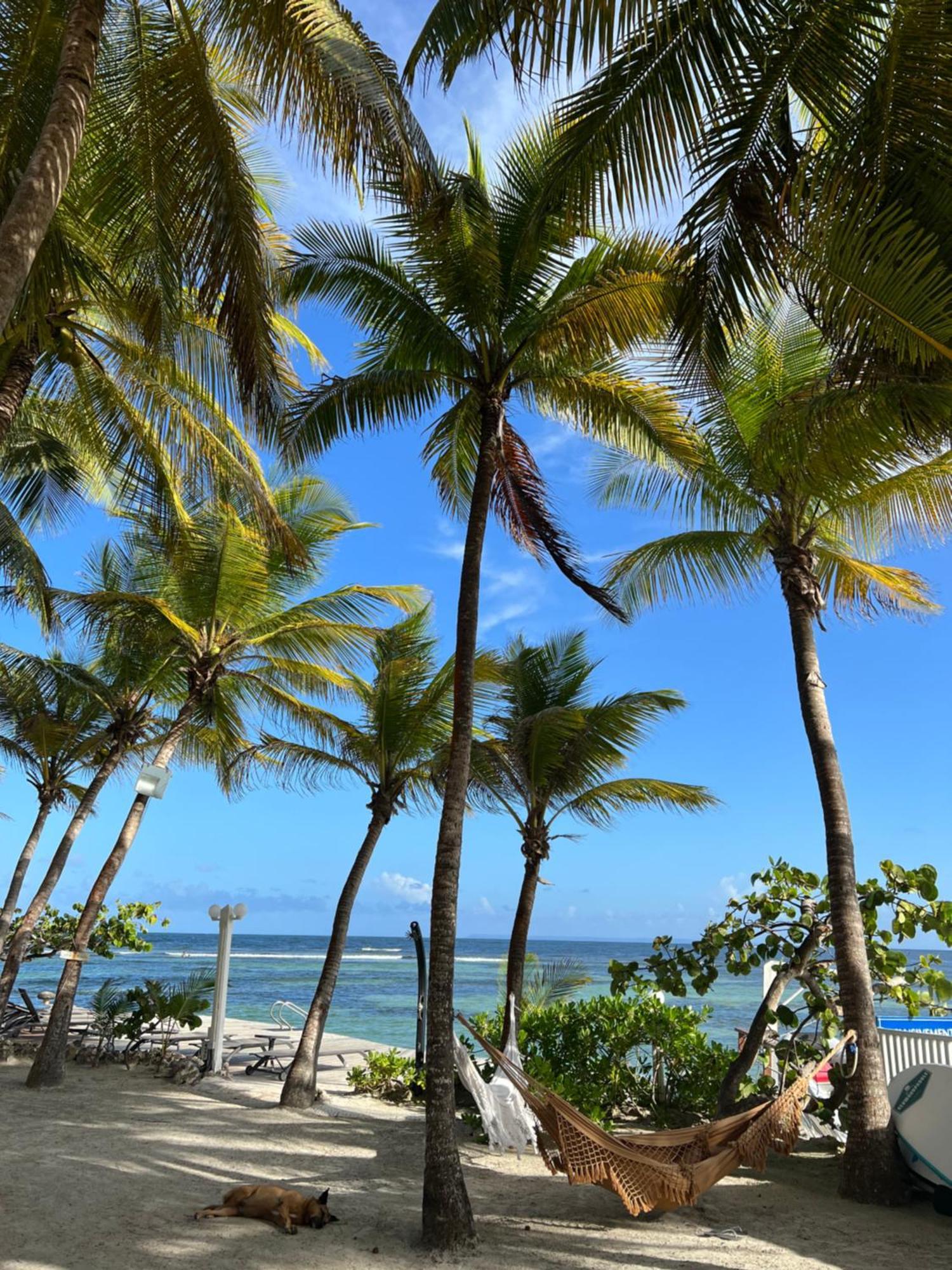 Guadeloupe- Saint-Francois- Residence Anse Des Rochers - Appartement Quart De Villa Etage - Vue Mer- 4 Personnes - Lit Bebe Sur Demande - Citerne Et Wifi Prives -Animaux Ok-Acces Plage Direct -Apnee Bien-Etre Experience Sur Demande Avec Instructeur A Екстериор снимка