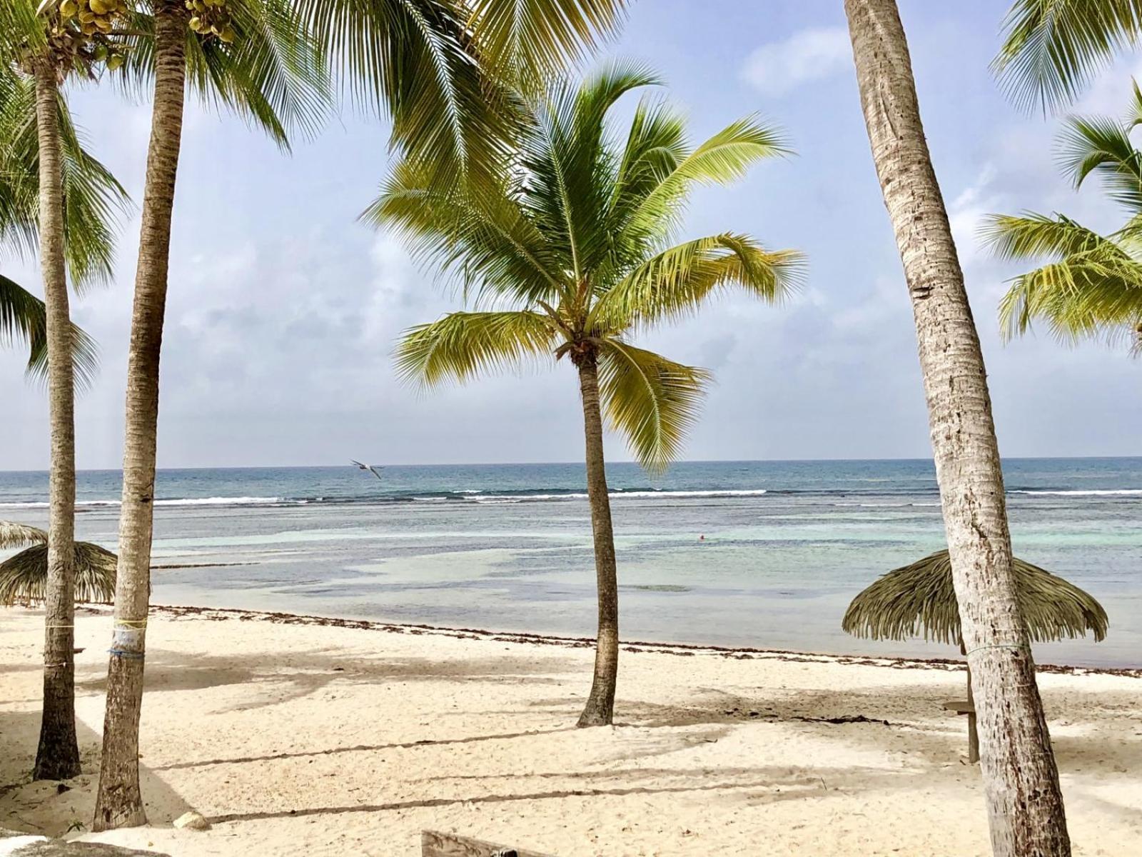 Guadeloupe- Saint-Francois- Residence Anse Des Rochers - Appartement Quart De Villa Etage - Vue Mer- 4 Personnes - Lit Bebe Sur Demande - Citerne Et Wifi Prives -Animaux Ok-Acces Plage Direct -Apnee Bien-Etre Experience Sur Demande Avec Instructeur A Екстериор снимка